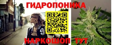 шишки Лесосибирск