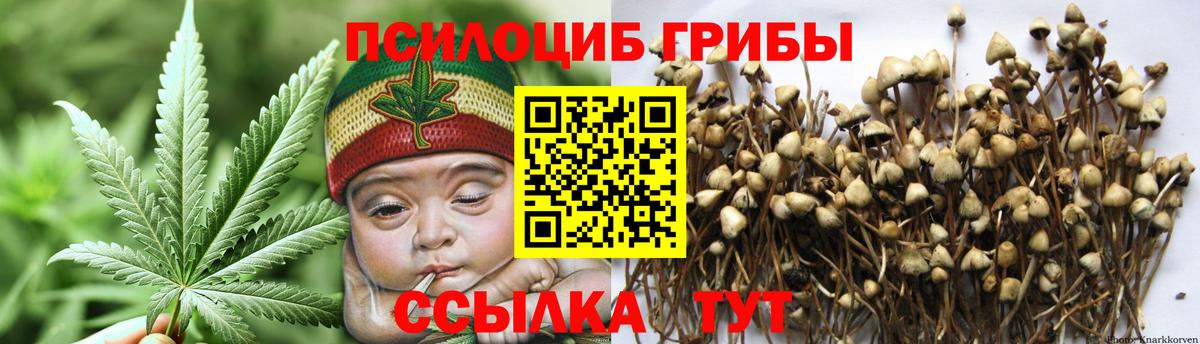 Галлюциногенные грибы Psilocybe Екатеринбург